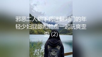 邪恶二人组下药迷翻对门的年轻少妇屁眼和鲍鱼一起玩爽歪歪 (2)