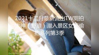 2021十二月最新流出TW厕拍大神（野狼）潜入景区女厕偷拍系列第3季