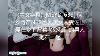 (中文字幕) [MEYD-633] 回乡待产NTR巨乳美女人妻佐山爱在乡下背着老公和别的男人抱在一起