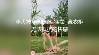 淫犬被捆绑调藏 猛操  藏衣柜无法抵抗的快感