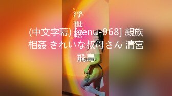 (中文字幕) [venu-968] 親族相姦 きれいな叔母さん 清宮飛鳥