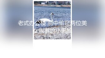 老式办公楼 洞中偷窥两位美女同事的小黑鲍