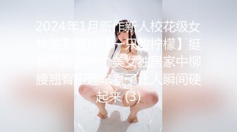 2024年1月新作新人校花级女神美到爆炸【一只酸柠檬】挺有气质的一个美女独居家中柳腰翘臀扭起来看了让人瞬间硬起来 (3)