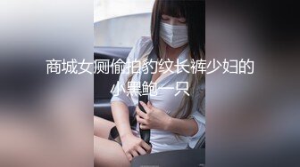 商城女厕偷拍豹纹长裤少妇的小黑鲍一只